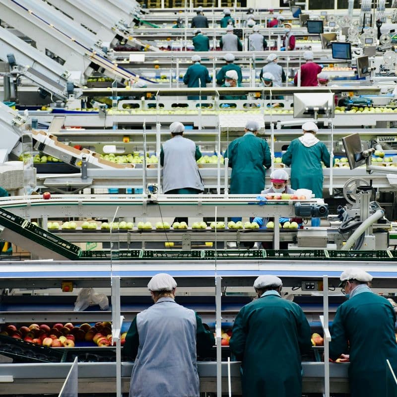 Fine-food distribution and packing